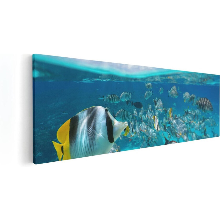 Artaza Canvas Schilderij Vissen Onderwater - 120x40 cm - Groot - Wanddecoratie Zee - Muurdecoratie Tropische Vissen - Decoratie Koraalrif afbeelding 1