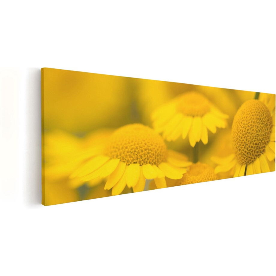 Artaza Canvas Schilderij Bloemen - 90x30 cm - Wanddecoratie Geel - Muurdecoratie Bloemen Woonkamer - Schilderij Bloemen Close-Up afbeelding 1
