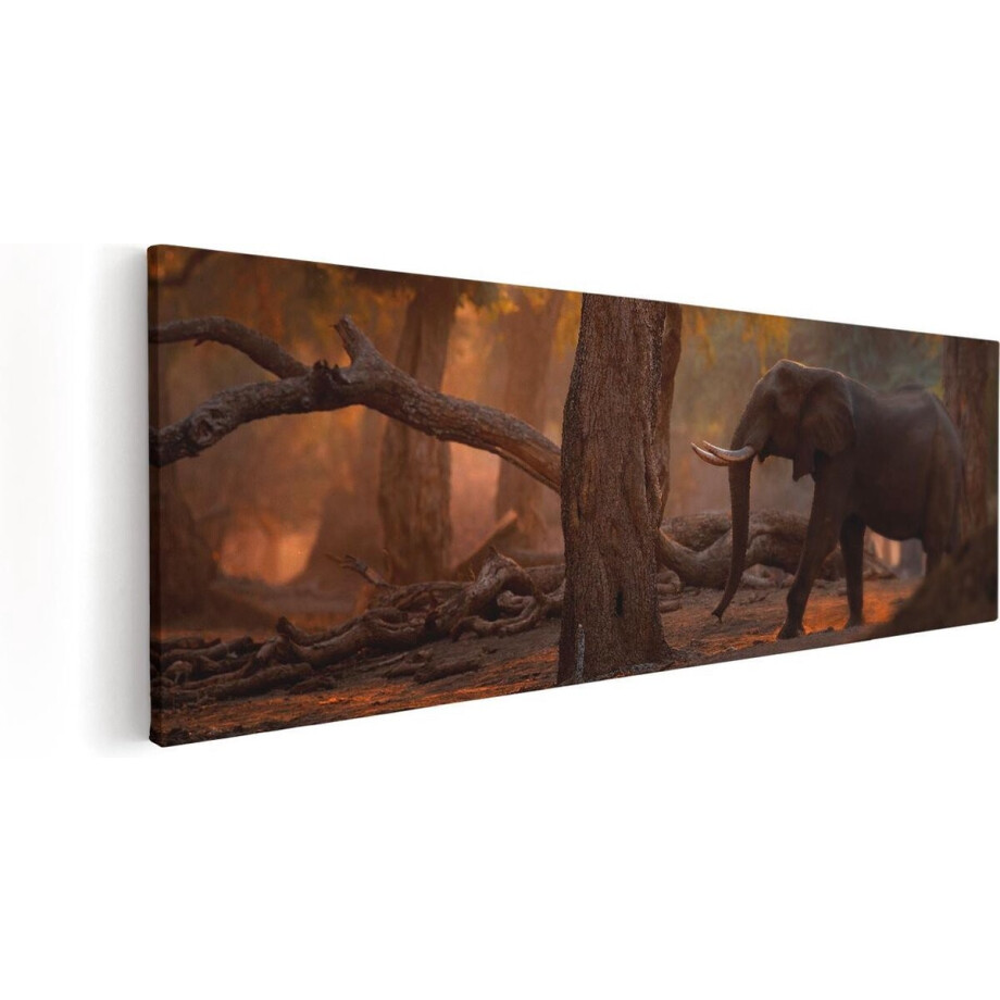 Artaza Canvas Schilderij Olifant In het Bos - 120x40 - Groot - Foto Op Canvas - Canvas Print afbeelding 1
