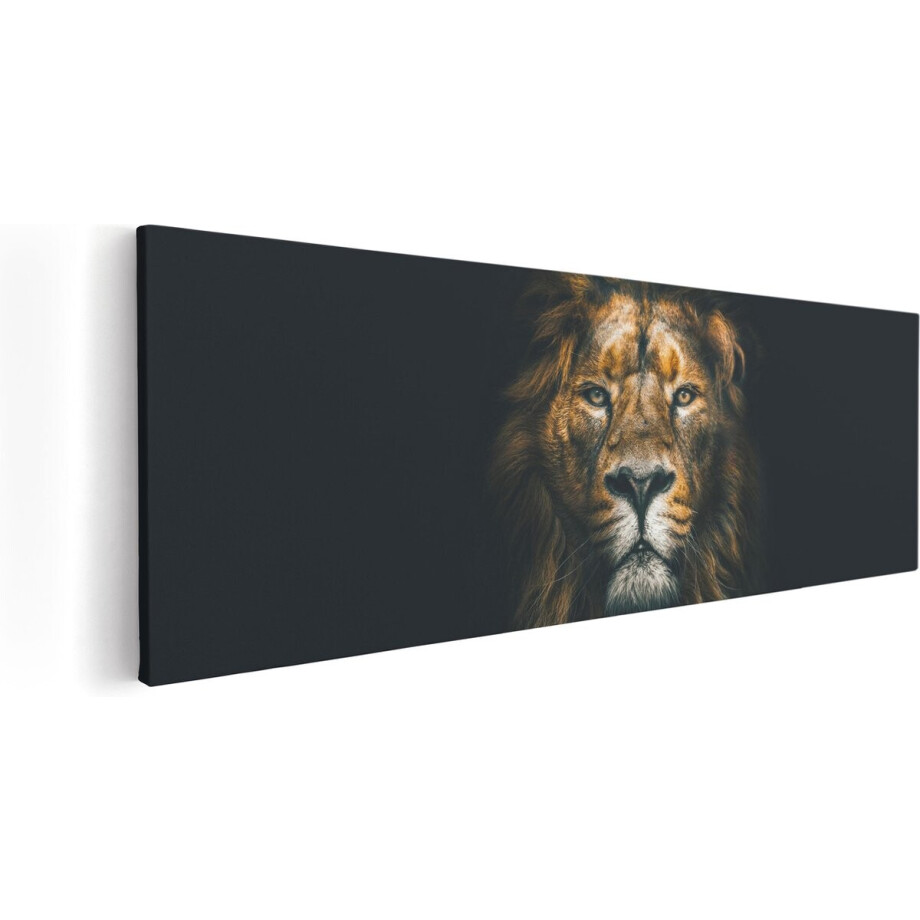 Artaza Canvas Schilderij Leeuw - Leeuwenkop - Kleur - 60x20 - Foto Op Canvas - Canvas Print afbeelding 1