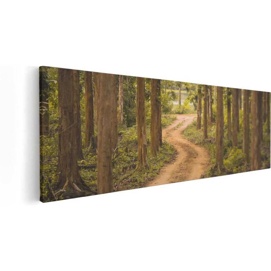Artaza Canvas Schilderij Pad In Het Bos Met Bomen - 90x30 - Foto Op Canvas - Canvas Print afbeelding 1