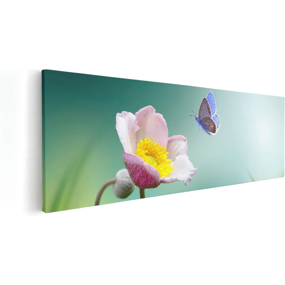 Artaza Canvas Schilderij Roze Anemoon Bloem Met Een Blauwe Vlinder - 90x30 - Foto Op Canvas - Canvas Print Artaza Canvas Schilderij Roze Anemoon Bloem Met Een Blauwe Vlinder - 90x30 - Foto Op Canvas - Canvas Print afbeelding 1