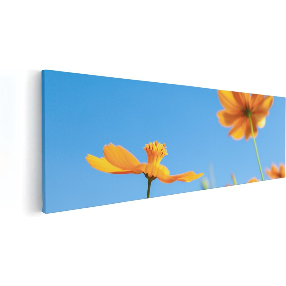 Artaza Canvas Schilderij Oranje Cosmea Bloemen - 120x40 - Groot - Foto Op Canvas - Canvas Print Artaza Canvas Schilderij Oranje Cosmea Bloemen - 120x40 - Groot - Foto Op Canvas - Canvas Print afbeelding 1