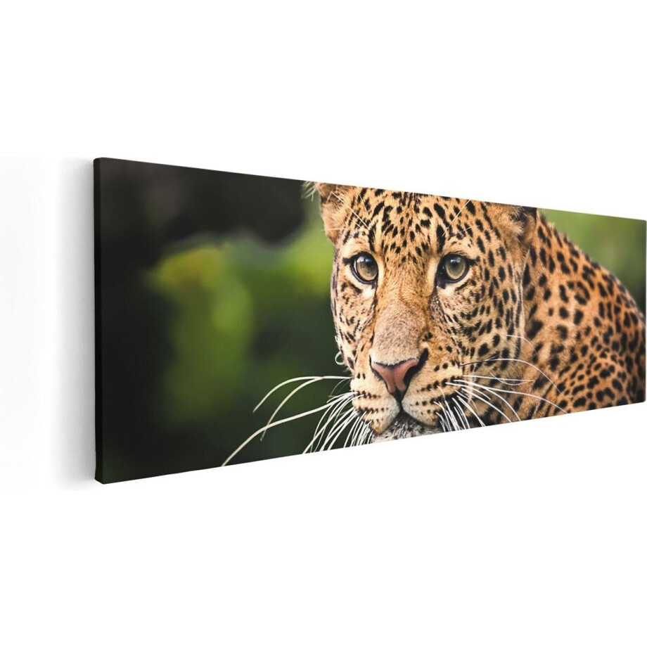 Artaza Canvas Schilderij Luipaard Van Dichtbij - 60x20 - Foto Op Canvas - Canvas Print afbeelding 1