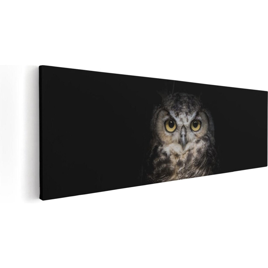 Artaza Canvas Schilderij Uil Op Een Tak In De Nacht - 60x20 - Foto Op Canvas - Canvas Print afbeelding 1