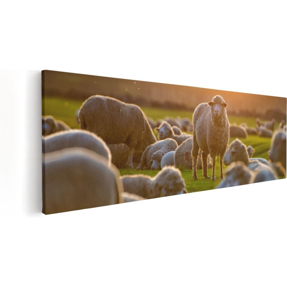 Artaza Canvas Schilderij Kudde Schapen bij Zonsondergang - 90x30 - Foto Op Canvas - Canvas Print afbeelding 1