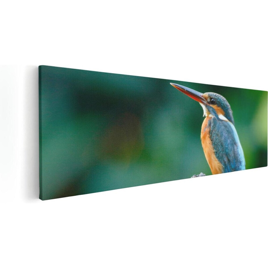 Artaza Canvas Schilderij IJsvogel - 90x30 cm - Wanddecoratie Vogels - Muurdecoratie Op Tak - Schilderijen Op Canvas Artaza Canvas Schilderij IJsvogel - 90x30 cm - Wanddecoratie Vogels - Muurdecoratie Op Tak - Schilderijen Op Canvas afbeelding 1