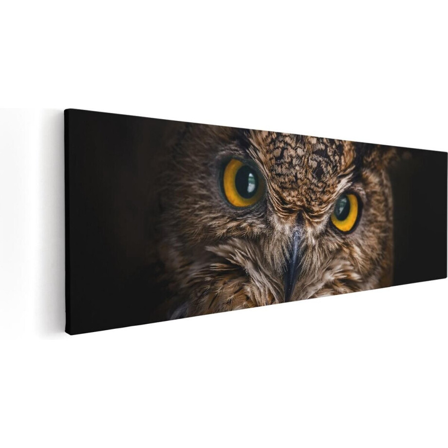 Artaza Canvas Schilderij Uilenkop Met Gele Ogen - Uil - 90x30 - Foto Op Canvas - Canvas Print afbeelding 1