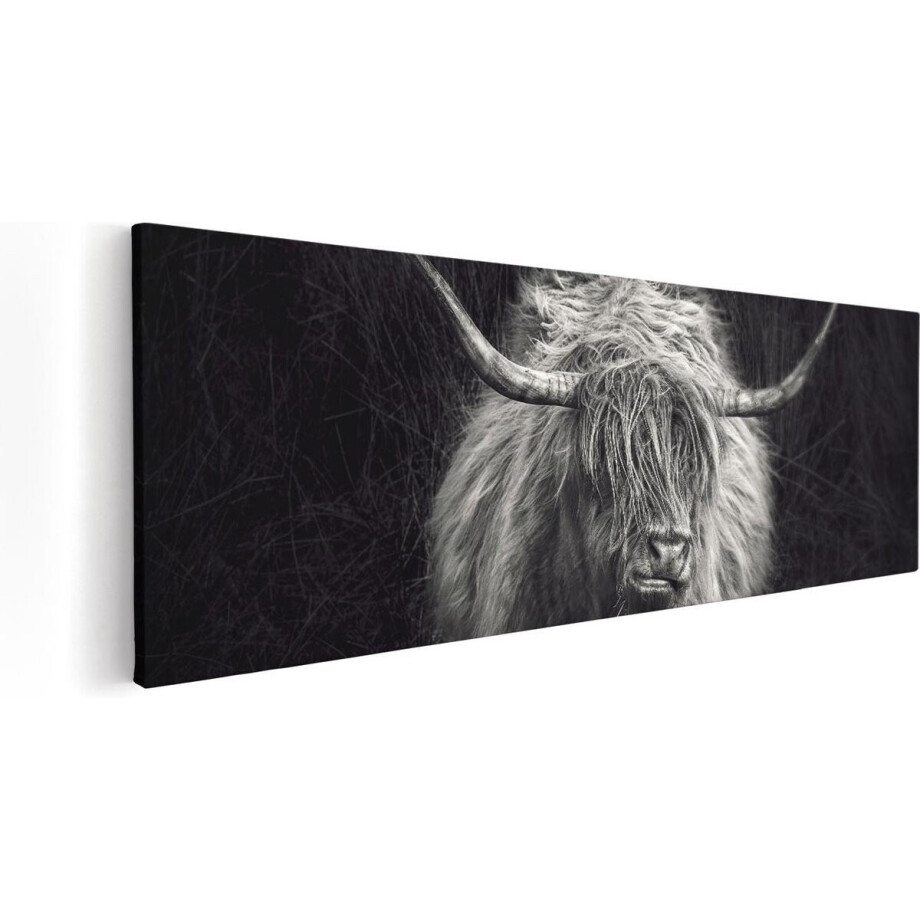 Artaza Canvas Schilderij Schotse Hooglander Koe - Zwart Wit - 60x20 - Foto Op Canvas - Canvas Print Artaza Canvas Schilderij Schotse Hooglander Koe - Zwart Wit - 60x20 - Foto Op Canvas - Canvas Print afbeelding 1