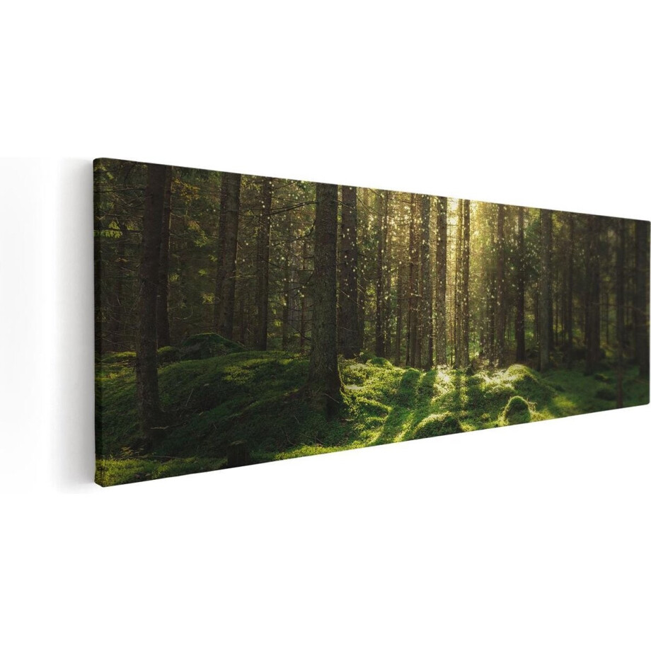 Artaza Canvas Schilderij Bos met Groen Mos op de Grond - 90x30 - Foto Op Canvas - Canvas Print afbeelding 1