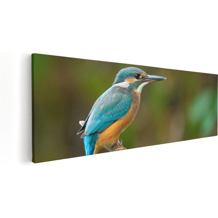 Artaza Canvas Schilderij Vogel - 60x20 cm - Wanddecoratie Dieren - Muurdecoratie IJsvogel - Kamer Accessoires Artaza Canvas Schilderij Vogel - 60x20 cm - Wanddecoratie Dieren - Muurdecoratie IJsvogel - Kamer Accessoires afbeelding 1