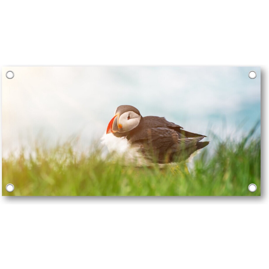 Atlantische papegaaiduikervogel - Tuinposter 200x100 - Wanddecoratie - Dieren Atlantische papegaaiduikervogel - Tuinposter 200x100 - Wanddecoratie - Dieren afbeelding 1