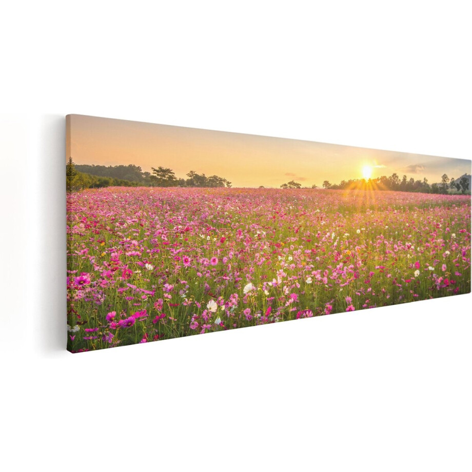 Artaza Canvas Schilderij Bloemenveld Met Roze Kosmos - 120x40 cm - Groot - Wanddecoratie Woonkamer - Schilderijen - Muurdecoratie afbeelding 1