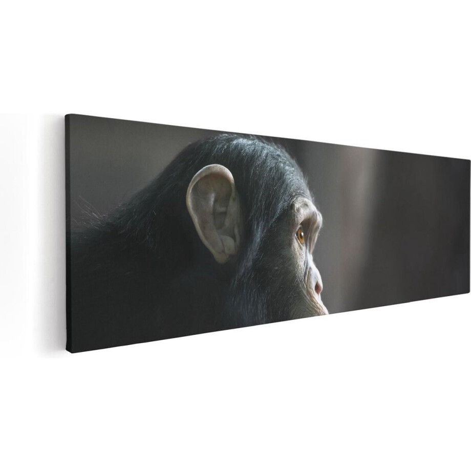 Artaza Canvas Schilderij Verbaasde Aap Vanaf De Zijkant - 90x30 - Foto Op Canvas - Canvas Print afbeelding 1