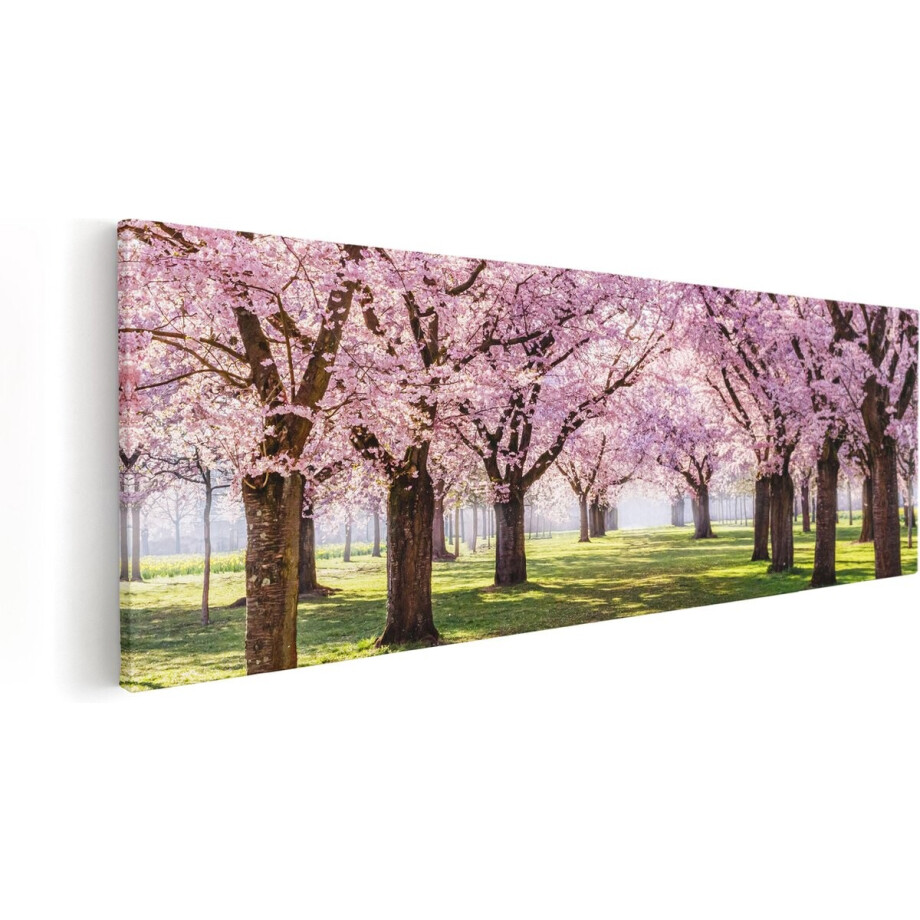 Artaza Canvas Schilderij Roze Bloesembomen Park - Bloemen - 120x40 - Groot - Foto Op Canvas - Canvas Print afbeelding 1