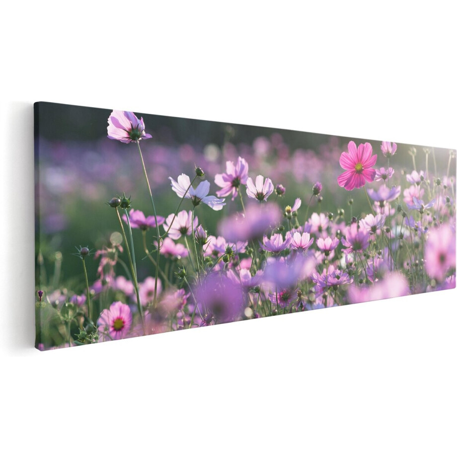 Artaza Canvas Schilderij Bloemenveld Met Paarse Kosmos - 120x40 cm - Groot - Wanddecoratie Woonkamer - Schilderijen - Muurdecoratie afbeelding 1