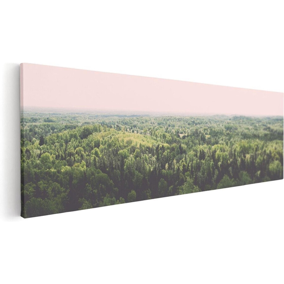Artaza Canvas Schilderij Eindeloze Bos Met Groene Bomen - 120x40 cm - Groot - Wanddecoratie Woonkamer - Schilderijen - Muurdecoratie Artaza Canvas Schilderij Eindeloze Bos Met Groene Bomen - 120x40 cm - Groot - Wanddecoratie Woonkamer - Schilderijen - Muurdecoratie afbeelding 1