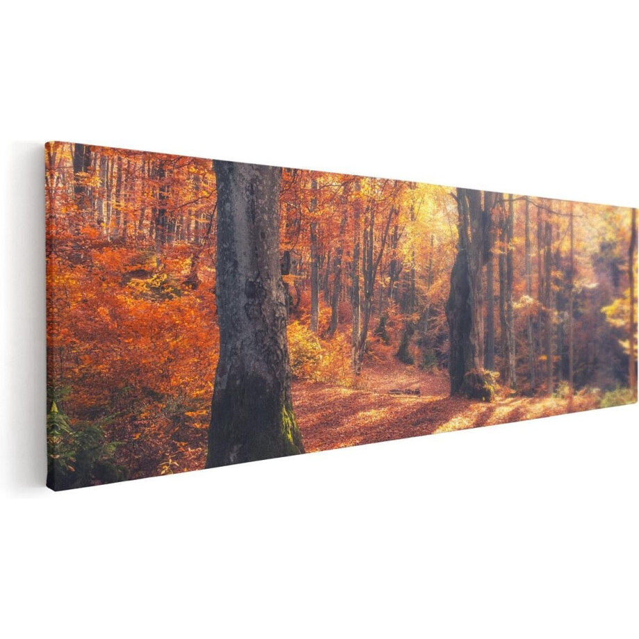 Artaza Canvas Schilderij Herfstbos - 90x30 cm - Wanddecoratie Bos - Muurdecoratie Bomen - Schilderijen Op Canvas Landschap Artaza Canvas Schilderij Herfstbos - 90x30 cm - Wanddecoratie Bos - Muurdecoratie Bomen - Schilderijen Op Canvas Landschap afbeelding 1