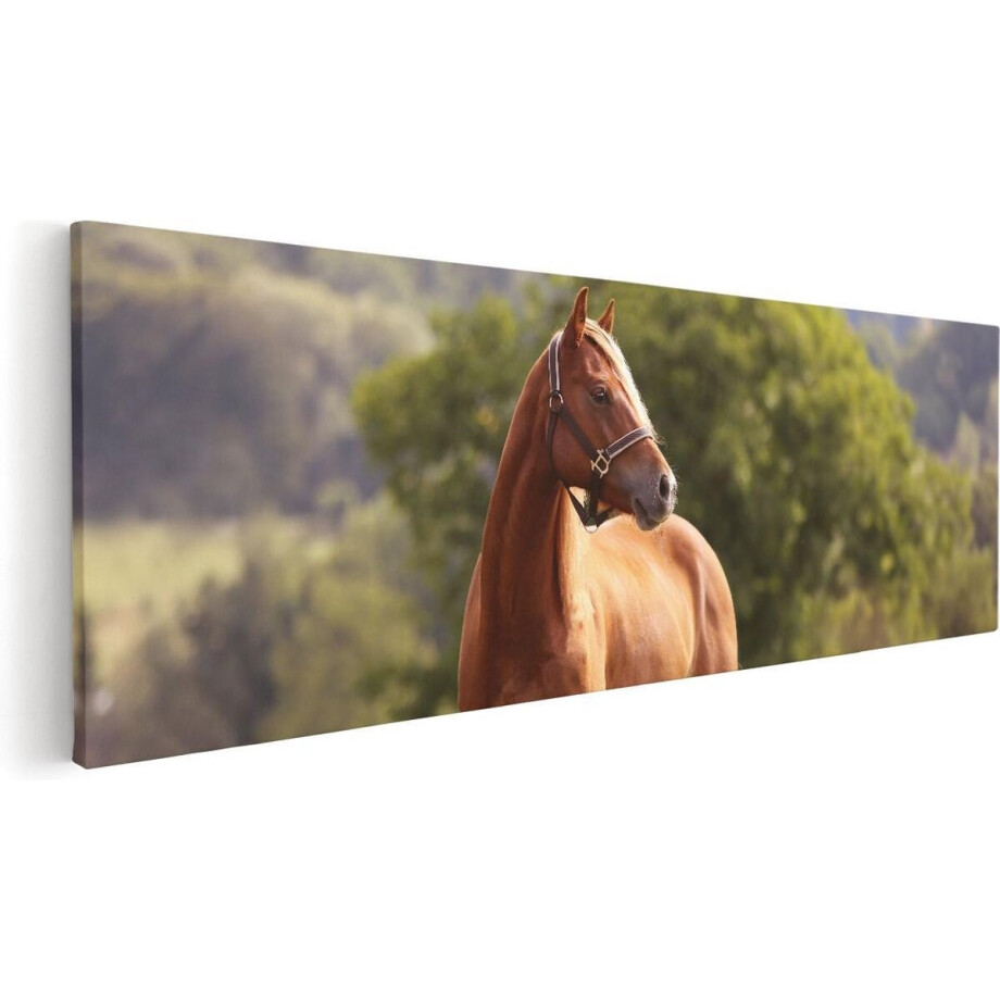 Artaza Canvas Schilderij Bruin Paard In De Wei - 120x40 - Groot - Foto Op Canvas - Canvas Print afbeelding 1