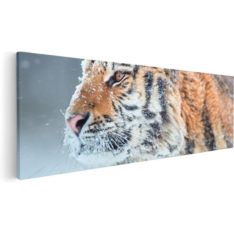 Artaza Canvas Schilderij Tijger Tijdens De Sneeuw - 120x40 - Groot - Foto Op Canvas - Canvas Print Artaza Canvas Schilderij Tijger Tijdens De Sneeuw - 120x40 - Groot - Foto Op Canvas - Canvas Print afbeelding 1