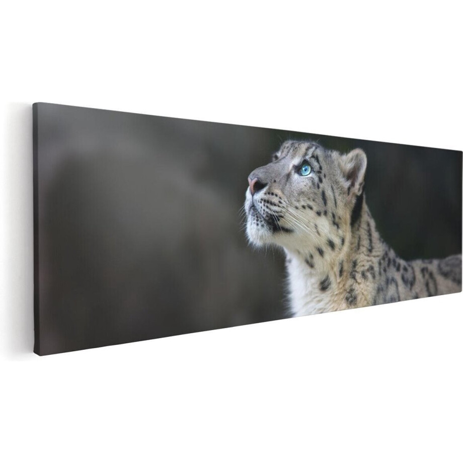 Artaza Canvas Schilderij Luipaard Met Blauwe Ogen - 60x20 - Foto Op Canvas - Canvas Print Artaza Canvas Schilderij Luipaard Met Blauwe Ogen - 60x20 - Foto Op Canvas - Canvas Print afbeelding 1