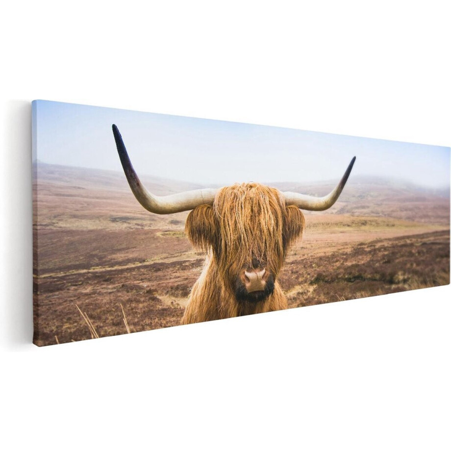Artaza Canvas Schilderij Schotse Hooglander Koe In Het Veld - 90x30 - Foto Op Canvas - Canvas Print afbeelding 1