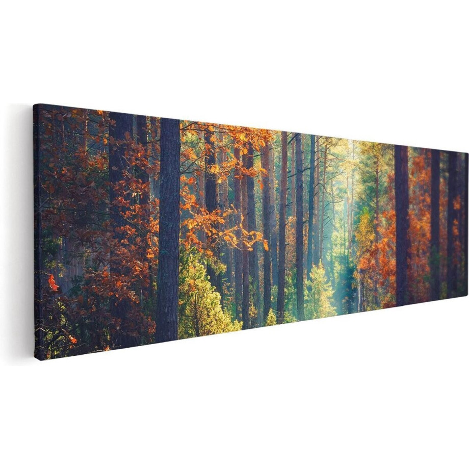 Artaza Canvas Schilderij Bos - 120x40 cm - Groot - Wanddecoratie Herfst - Muurdecoratie Landschap - Schilderijen Op Canvas Natuur afbeelding 1
