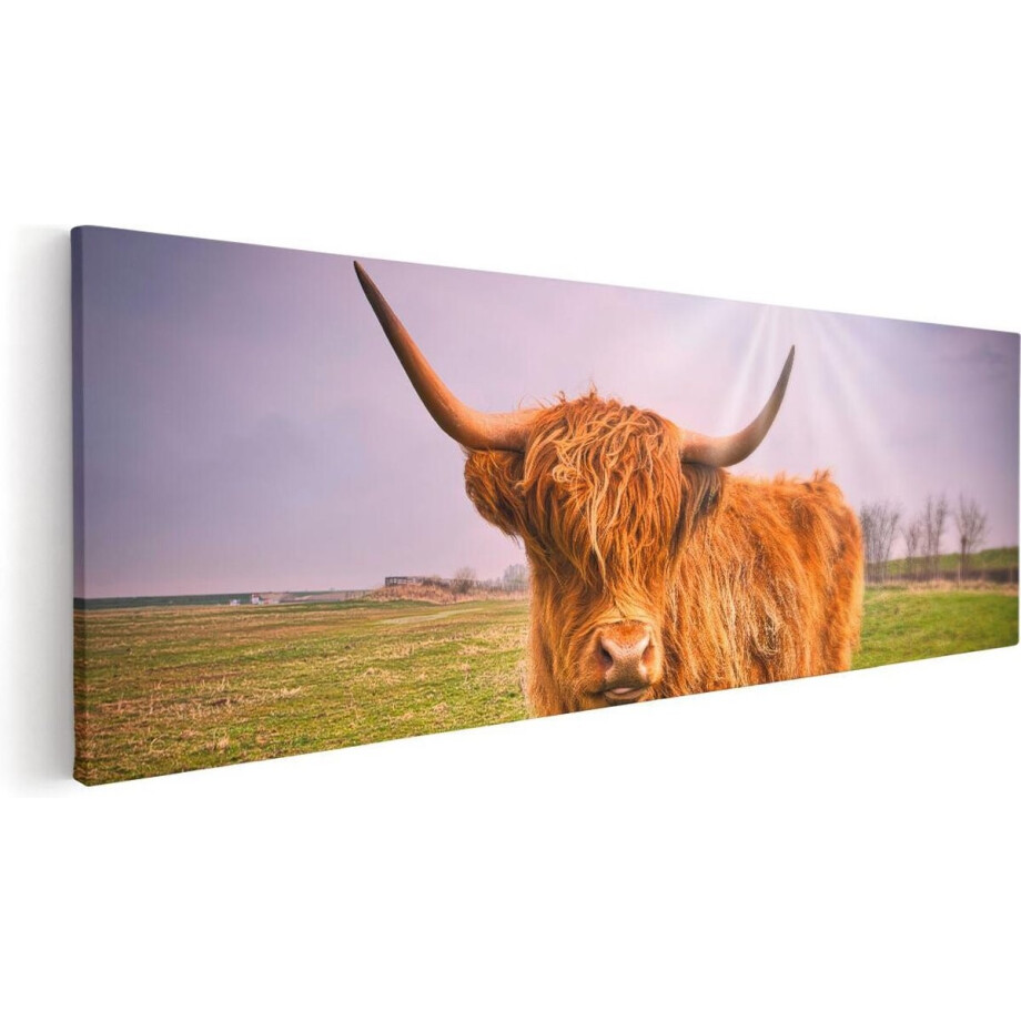 Artaza Canvas Schilderij Bruine Schotse Hooglander Koe - Kleur - 90x30 - Foto Op Canvas - Canvas Print Artaza Canvas Schilderij Bruine Schotse Hooglander Koe - Kleur - 90x30 - Foto Op Canvas - Canvas Print afbeelding 1