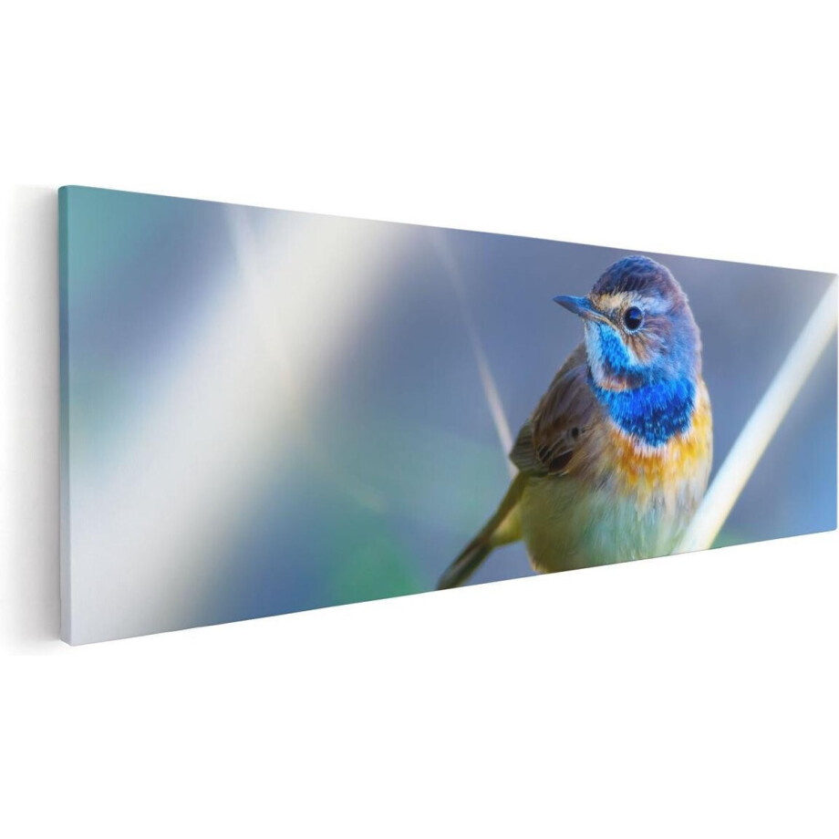Artaza Canvas Schilderij Vogel Op Tak - 60x20 cm - Wanddecoratie Dieren - Muurdecoratie Woonkamer - Kamer Accessoires afbeelding 1