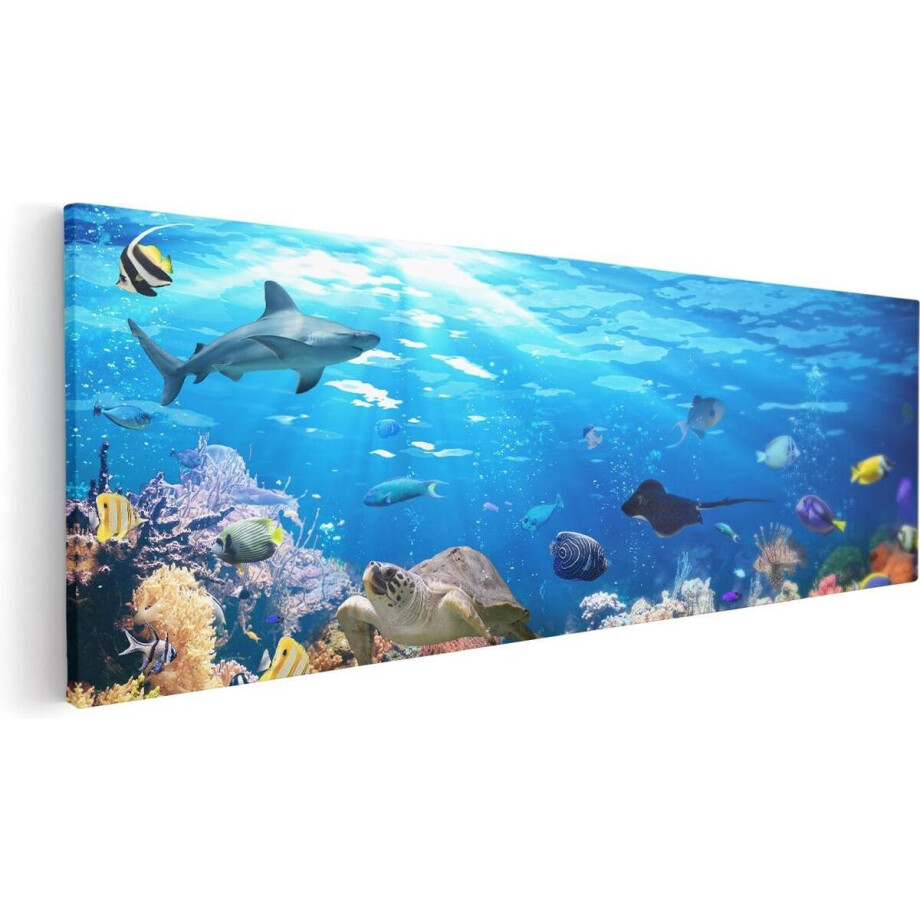 Artaza Canvas Schilderij Vissen met Koraalrif Onder Water - 120x40 - Groot - Foto Op Canvas - Canvas Print Artaza Canvas Schilderij Vissen met Koraalrif Onder Water - 120x40 - Groot - Foto Op Canvas - Canvas Print afbeelding 1