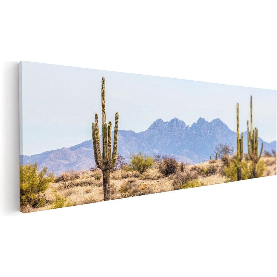 Artaza Canvas Schilderij Cactussen in de Woestijn - 90x30 - Foto Op Canvas - Canvas Print afbeelding 1