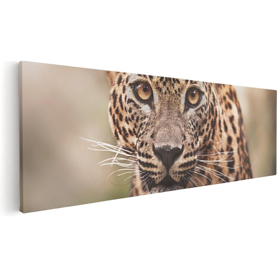Artaza Canvas Schilderij Luipaard - 120x40 cm - Groot - Wanddecoratie Dieren - Muurdecoratie Jungle - Schilderijen Op Canvas Artaza Canvas Schilderij Luipaard - 120x40 cm - Groot - Wanddecoratie Dieren - Muurdecoratie Jungle - Schilderijen Op Canvas afbeelding 1