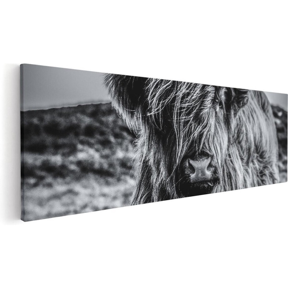 Artaza Canvas Schilderij Schotse Hooglander - 90x30 cm - Wanddecoratie Woonkamer - Muurdecoratie Dieren - Zwart Wit afbeelding 1