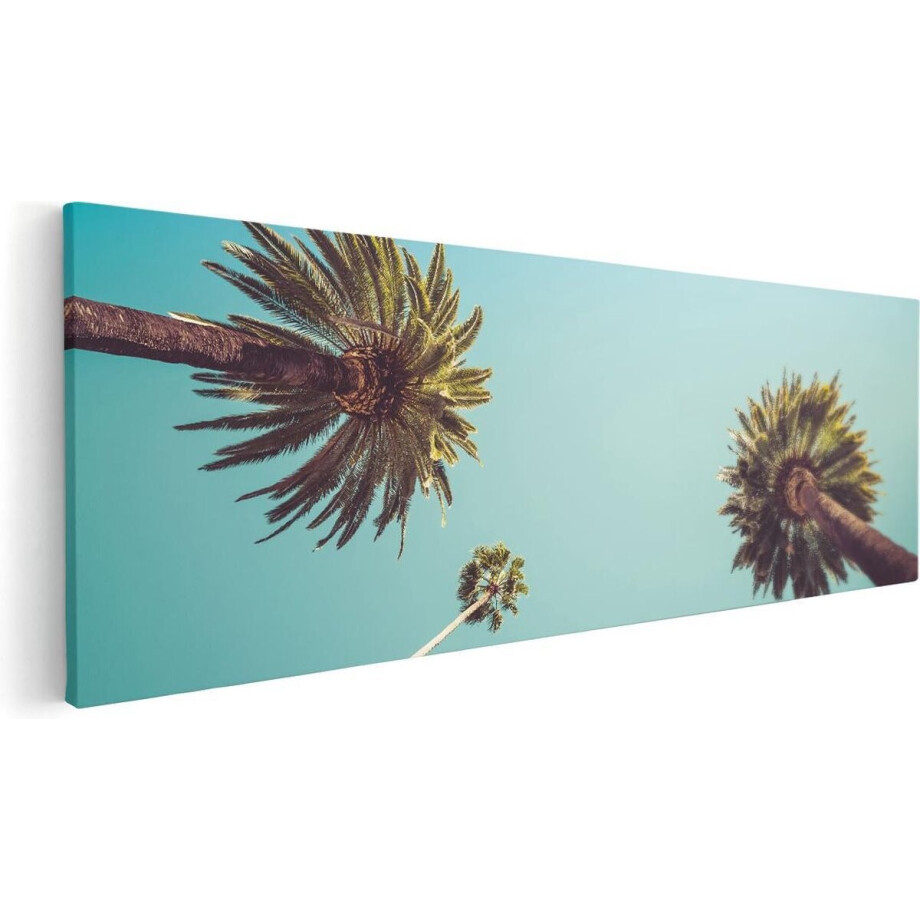 Artaza Canvas Schilderij Palmbomen met Bladeren in de Lucht - 60x20 - Foto Op Canvas - Canvas Print Artaza Canvas Schilderij Palmbomen met Bladeren in de Lucht - 60x20 - Foto Op Canvas - Canvas Print afbeelding 1