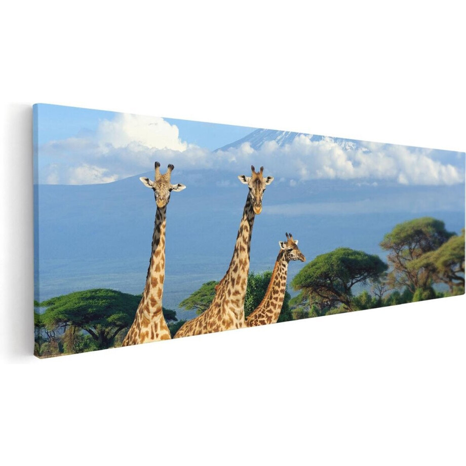 Artaza Canvas Schilderij Drie Giraffes In De Savanne - 90x30 - Foto Op Canvas - Canvas Print afbeelding 1