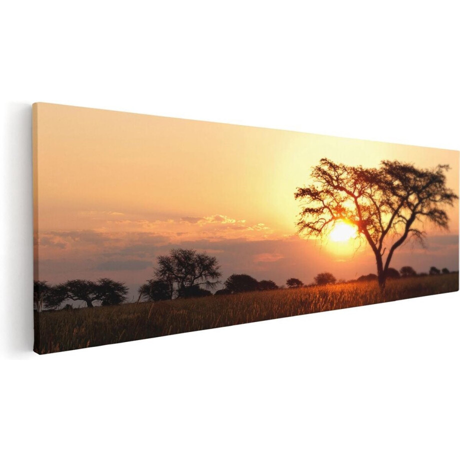 Artaza Canvas Schilderij Zonsondergang Achter Een Acacia Boom - 120x40 - Groot - Foto Op Canvas - Canvas Print Artaza Canvas Schilderij Zonsondergang Achter Een Acacia Boom - 120x40 - Groot - Foto Op Canvas - Canvas Print afbeelding 1