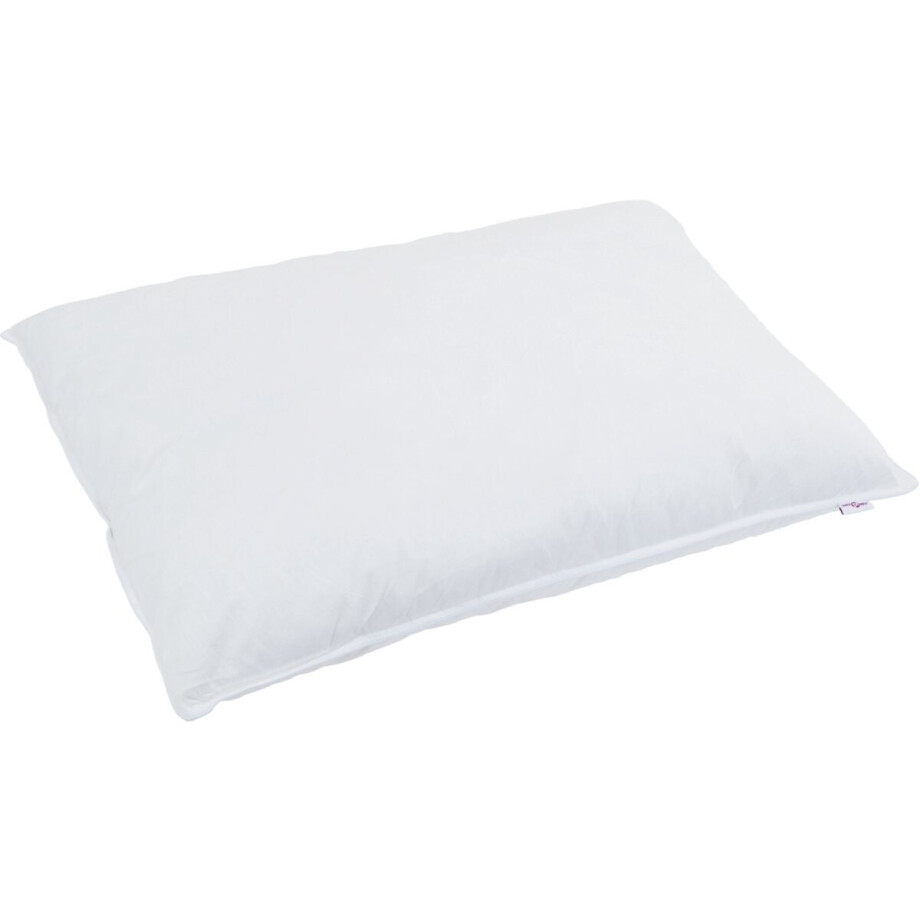 vidaXL - Dekbed - met - Kussen - met - kussen - 2 - pcs - Wit - Donsveer vidaXL - Dekbed - met - Kussen - met - kussen - 2 - pcs - Wit - Donsveer afbeelding 1