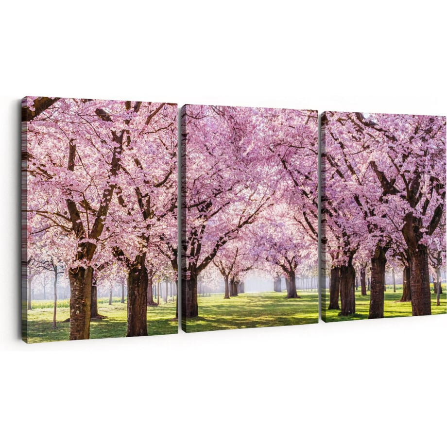 Artaza Canvas Schilderij Drieluik Roze Bloesembomen Park - Bloemen - 180x80 cm - Groot - Wanddecoratie Woonkamer - Schilderijen - Muurdecoratie Artaza Canvas Schilderij Drieluik Roze Bloesembomen Park - Bloemen - 180x80 cm - Groot - Wanddecoratie Woonkamer - Schilderijen - Muurdecoratie afbeelding 1