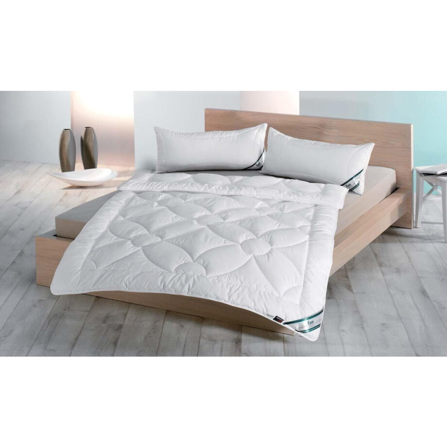 Frankenstolz - All year dekbed enkel - Thinsulate - 260x220 afbeelding 1