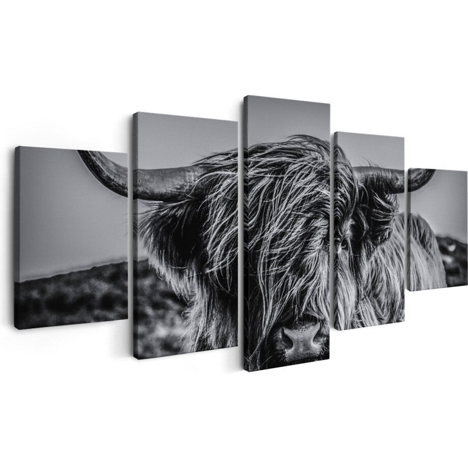 Artaza Canvas Schilderij Vijfluik Schotse Hooglander Koe - Zwart Wit - 150x80 - Foto Op Canvas - Canvas Print afbeelding 1