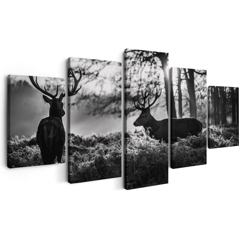 Artaza Canvas Schilderij Vijfluik Twee Herten tijdens de Zonsondergang - Zwart Wit - 150x80 - Foto Op Canvas - Canvas Print Artaza Canvas Schilderij Vijfluik Twee Herten tijdens de Zonsondergang - Zwart Wit - 150x80 - Foto Op Canvas - Canvas Print afbeelding 1