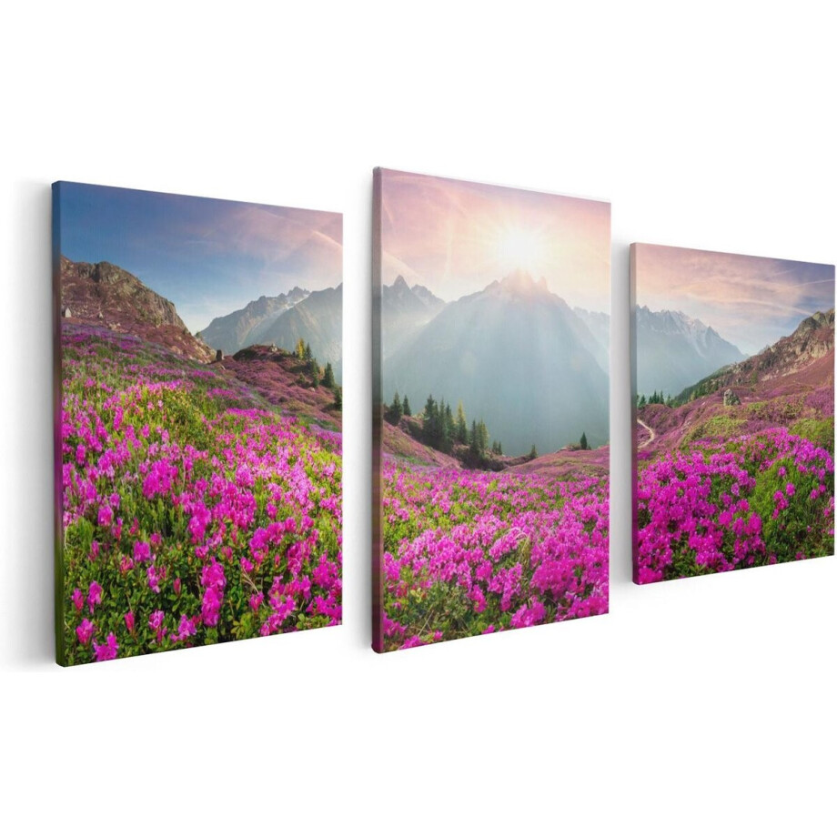 Artaza Canvas Schilderij Drieluik Rhododendron Bloemenveld In De Alpen - 120x60 - Foto Op Canvas - Canvas Print afbeelding 1