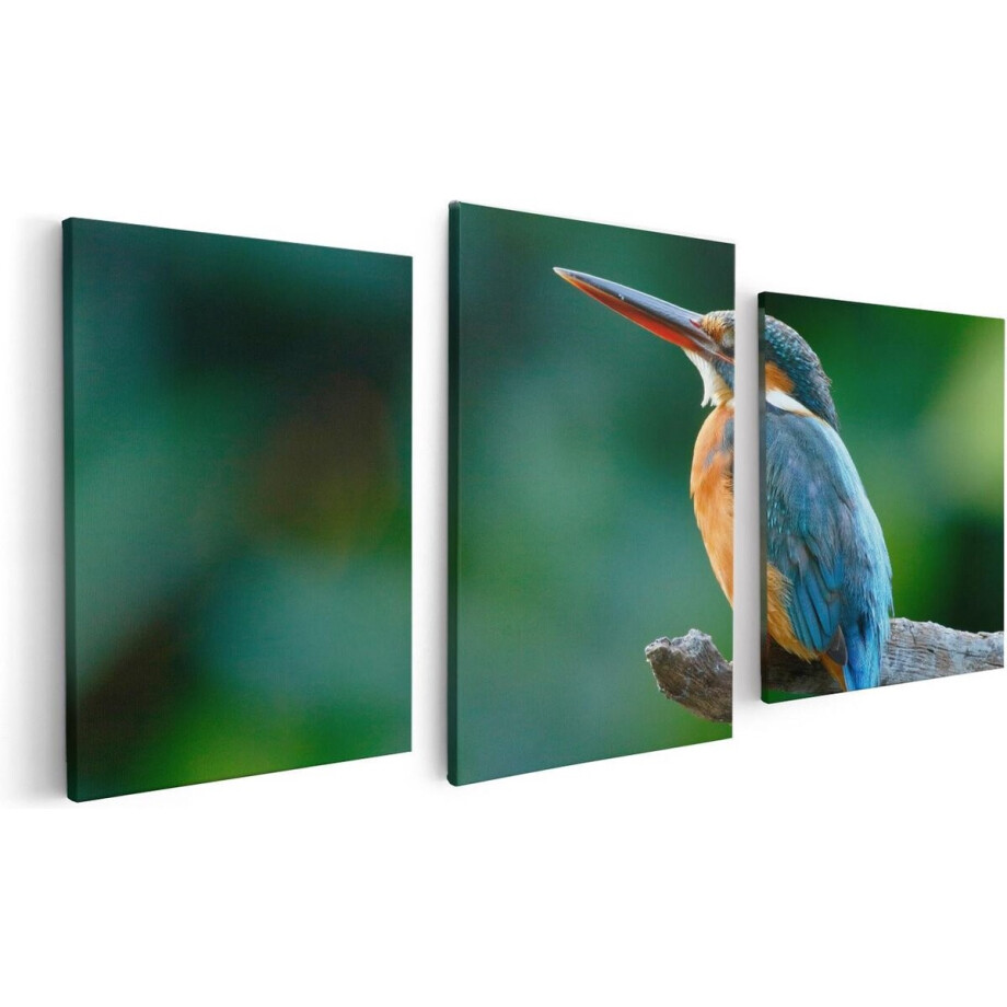 Artaza Canvas Schilderij Drieluik Blauw Oranje IJsvogel Op Een Tak - 120x60 cm - Wanddecoratie Woonkamer - Schilderijen - Muurdecoratie Artaza Canvas Schilderij Drieluik Blauw Oranje IJsvogel Op Een Tak - 120x60 cm - Wanddecoratie Woonkamer - Schilderijen - Muurdecoratie afbeelding 1