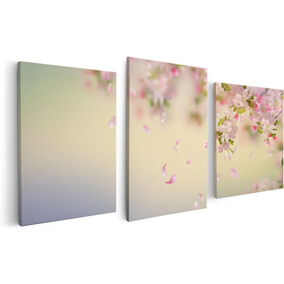 Artaza Canvas Schilderij Drieluik Appelbloesem - Bloemen - 120x60 - Foto Op Canvas - Canvas Print Artaza Canvas Schilderij Drieluik Appelbloesem - Bloemen - 120x60 - Foto Op Canvas - Canvas Print afbeelding 1
