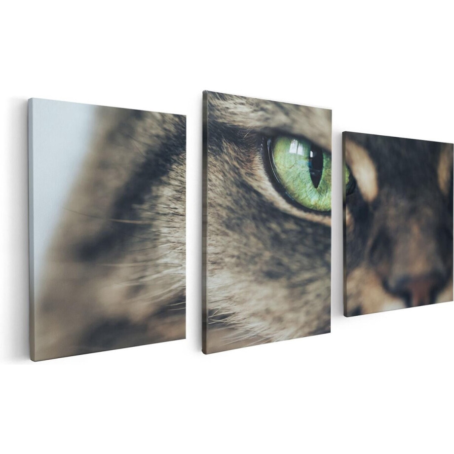 Artaza Canvas Schilderij Drieluik Kat Met Groene Ogen Van Dichtbij - 120x60 - Foto Op Canvas - Canvas Print afbeelding 1