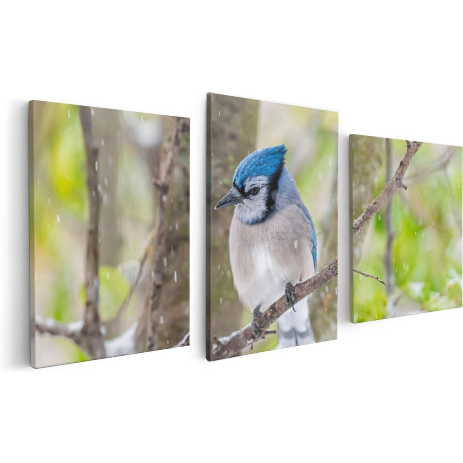 Artaza Canvas Schilderij Drieluik Blauwe Gaai Vogel In De Sneeuw - 120x60 - Foto Op Canvas - Canvas Print afbeelding 1