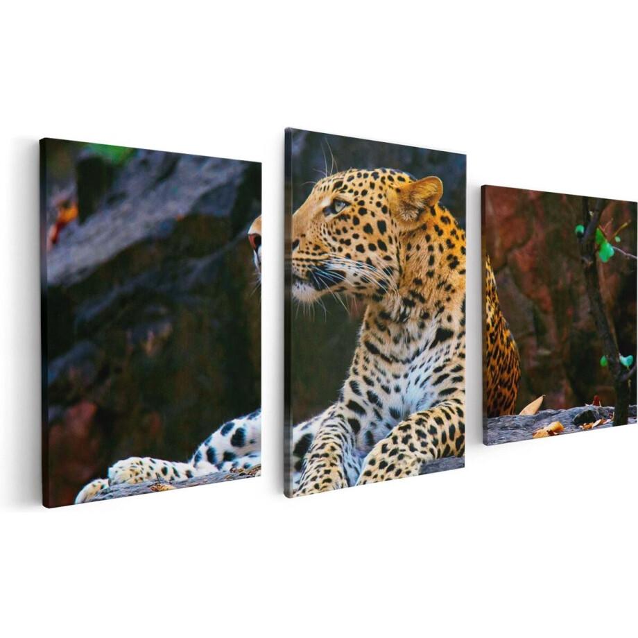 Artaza Canvas Schilderij Drieluik Luipaard Op De Rotsen - 120x60 - Foto Op Canvas - Canvas Print Artaza Canvas Schilderij Drieluik Luipaard Op De Rotsen - 120x60 - Foto Op Canvas - Canvas Print afbeelding 1