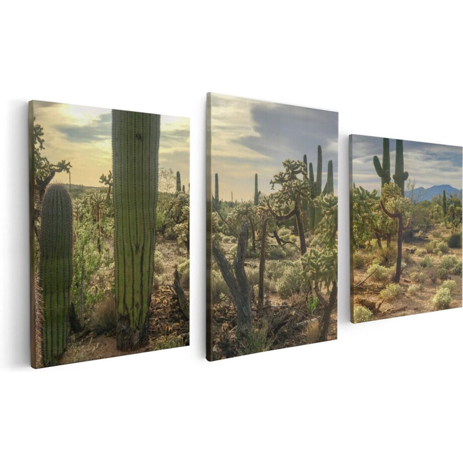 Artaza Canvas Schilderij Drieluik Cactus Planten in het Wild - 120x60 - Foto Op Canvas - Canvas Print afbeelding 1