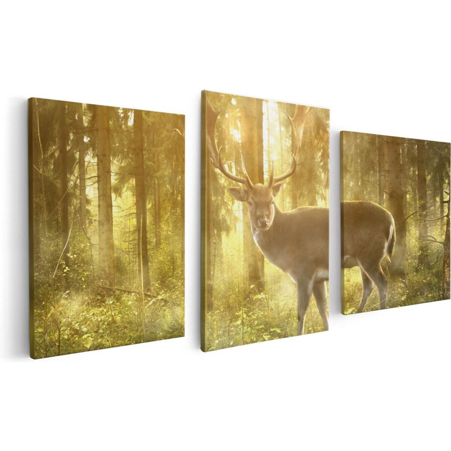 Artaza Canvas Schilderij Drieluik Hert In Bos Met Zon - 120x60 - Foto Op Canvas - Canvas Print afbeelding 1