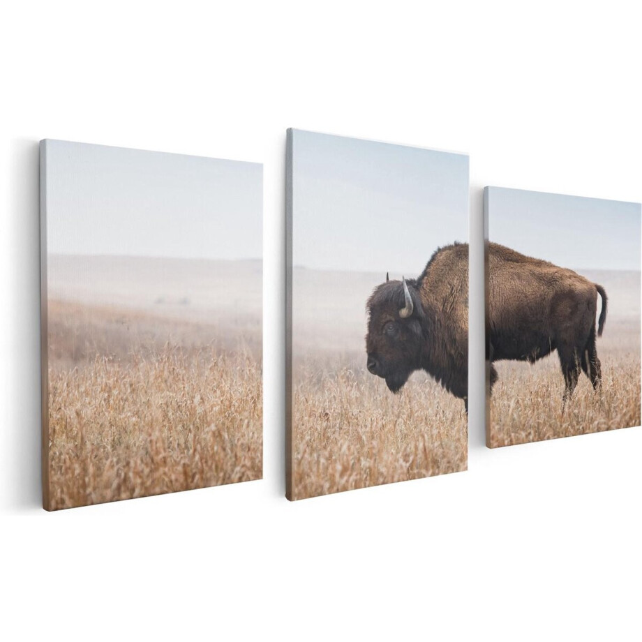 Artaza Canvas Schilderij Drieluik Bizon in het Gras - 120x60 - Foto Op Canvas - Canvas Print afbeelding 1